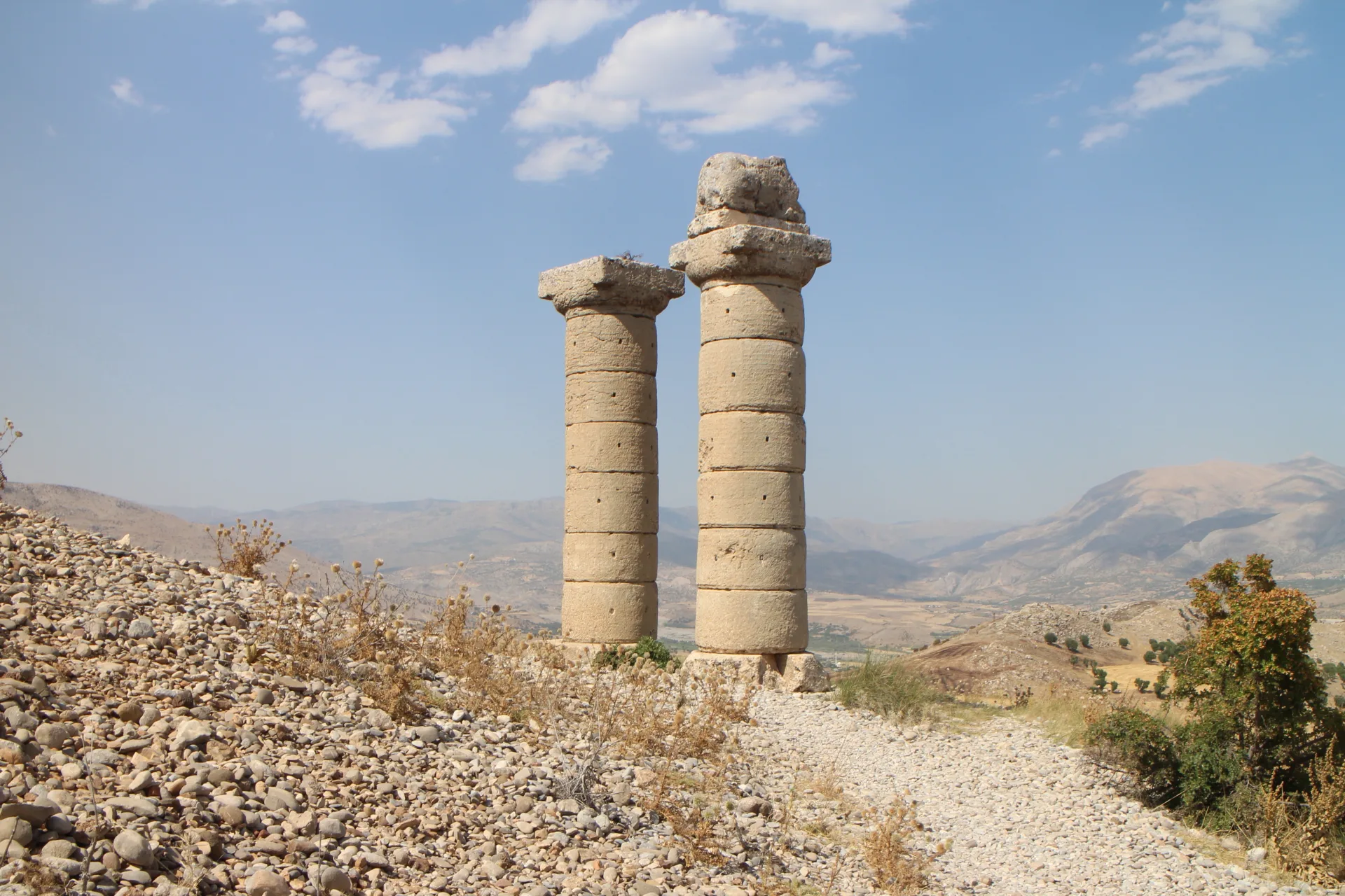 karakus